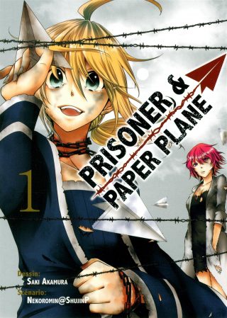 Prisoner and Paper Plane