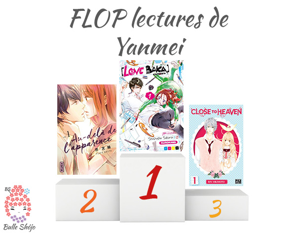 Flop lectures de Yanmei