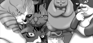 Un coffret intégral pour Street Fighting Cat