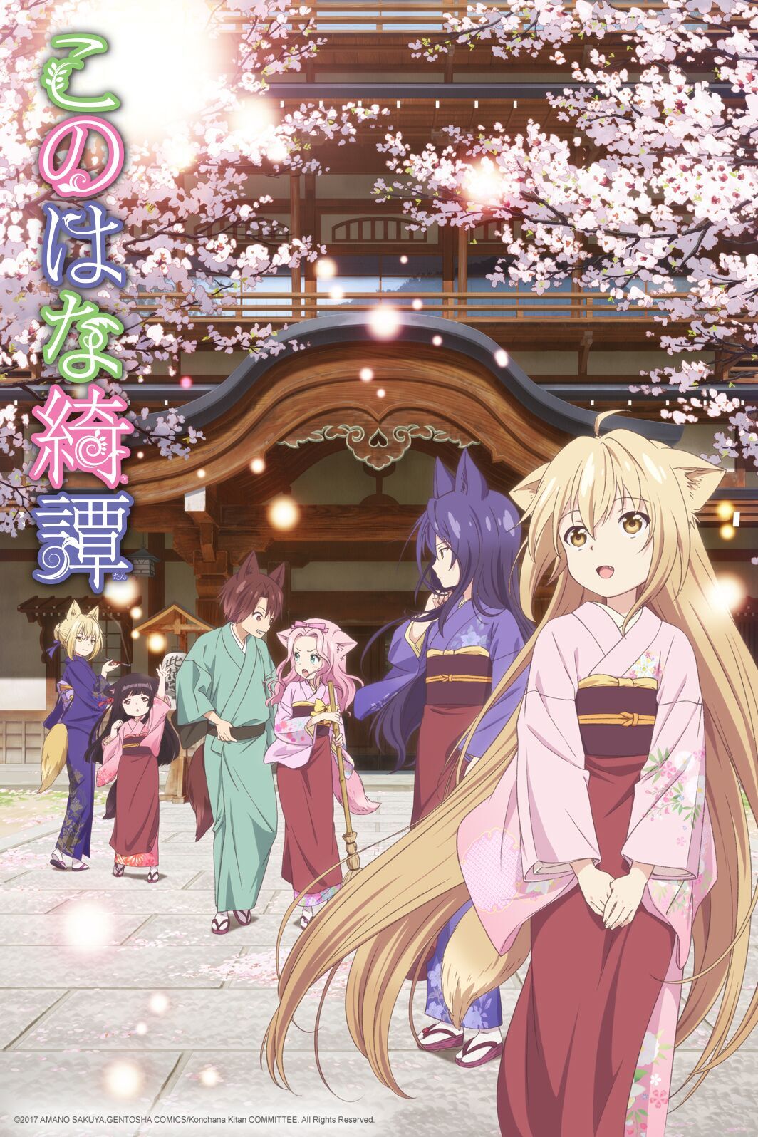 Konohana Kitan TV