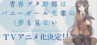 Le roman Seishun Buta Yarou adapté en anime