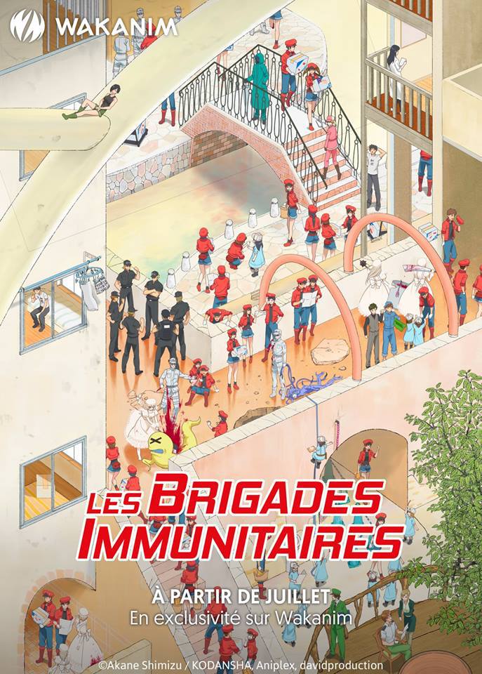 Les Brigades Immunitaires - Anime