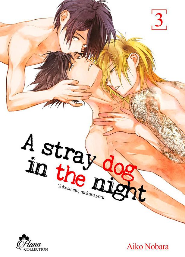 Stray Dog in the Night T3