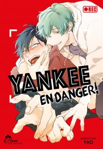 Yankee en Danger