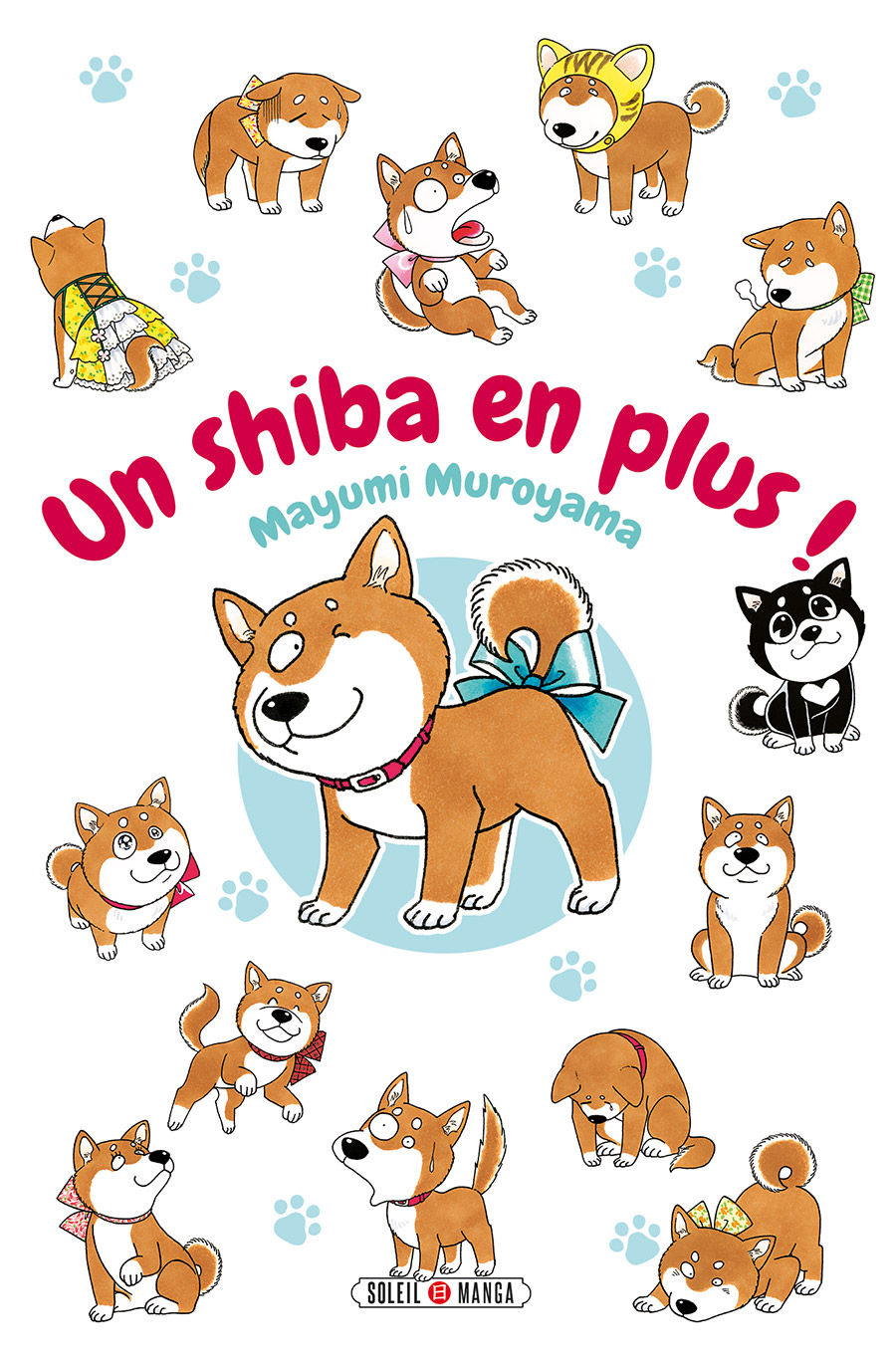 Un Shiba en plus !