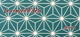 Jour 1 : Le conseil d’Aela