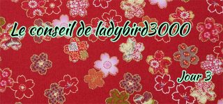 Jour 3 : Le conseil de ladybird3000