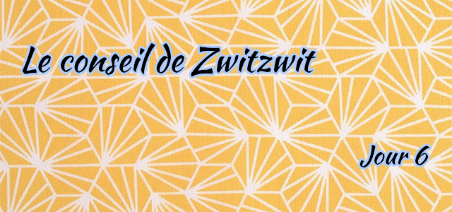 Jour 6 : Le conseil de Zwitzwit