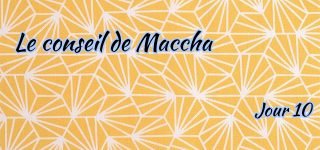 Jour 10 : Le conseil de Maccha