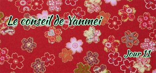 Jour 11 : Le conseil de Yanmei