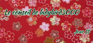 Jour 15 : Le conseil de ladybird3000