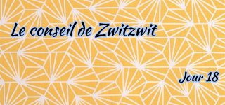 Jour 18 : Le conseil de Zwitzwit