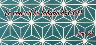 Jour 21 : Le conseil de ladybird3000