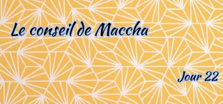 Jour 22 : Le conseil de Maccha