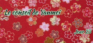 Jour 23 : Le conseil de Yanmei