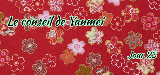 Jour 23 : Le conseil de Yanmei