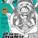 One Piece Magazine T5