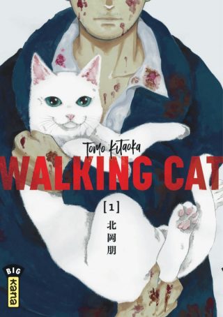 Walking Cat