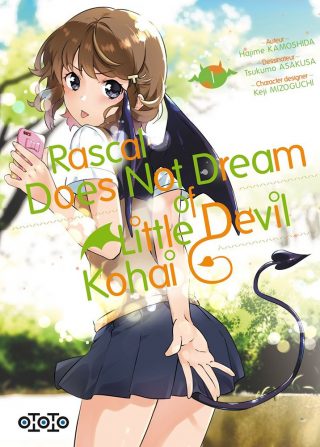 Rascal Does Not Dream of Little Devil Kohai