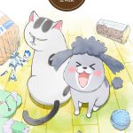 With a Dog AND a Cat, Every Day is Fun - Anime