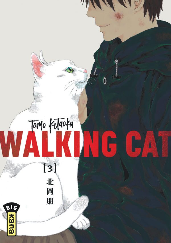 Walking Cat T3