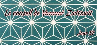 Jour 17 : Le conseil de Zwitzwit