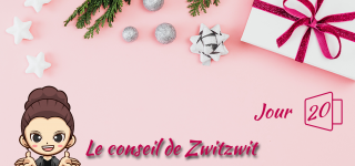 Jour 20 : Le conseil de Zwitzwit