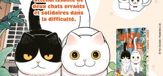 Le manga Hachi & Maruru – Chats des rues annoncé chez Doki-Doki