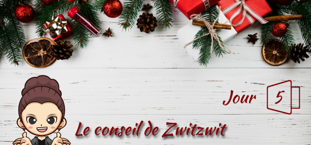 Jour 5 : Le conseil de Zwitzwit