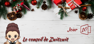 Jour 10 : Le conseil de Zwitzwit