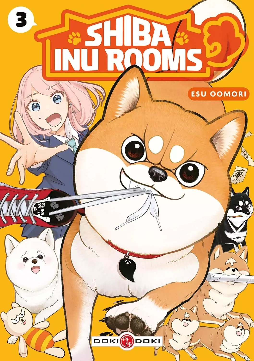 Shiba Inu Rooms T3
